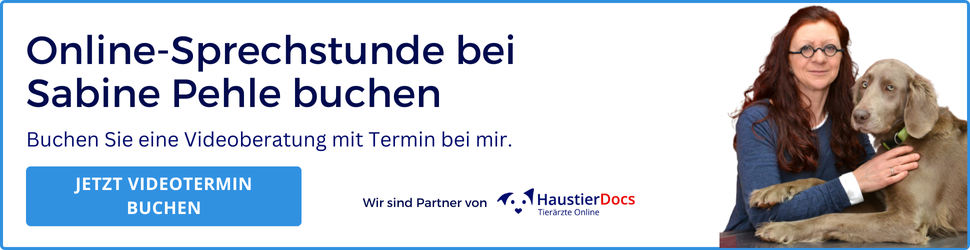 Online Sprechstunde Sabine Pehle