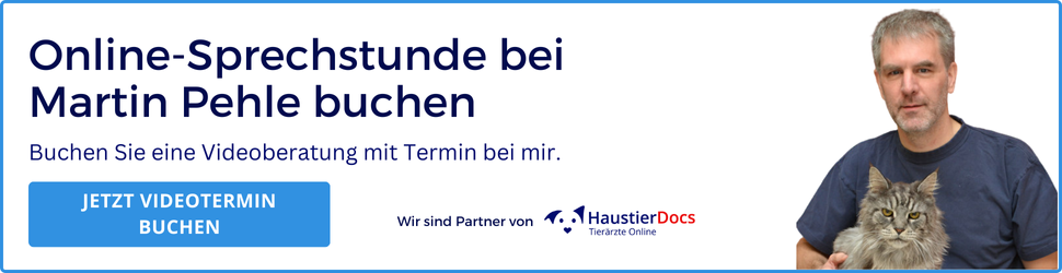 Online Sprechstunde Martin Pehle